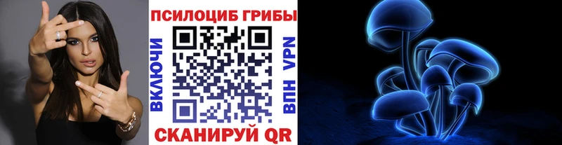 Купить где  Губаха  Псилоцибиновые грибы Psilocybe 